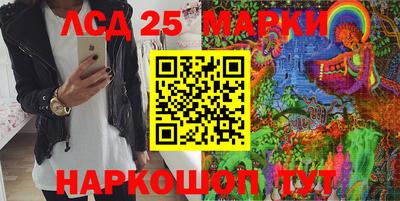 apvp Гатчина