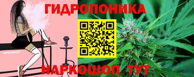 apvp Гатчина
