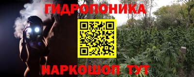кокс Гагарин