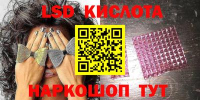 apvp Гатчина