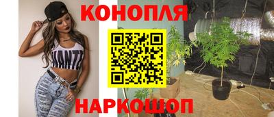 apvp Гатчина