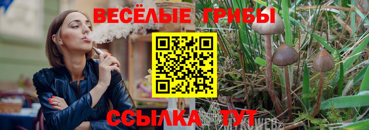Чусовой  Галлюциногенные грибы мицелий  Вход с VPN 